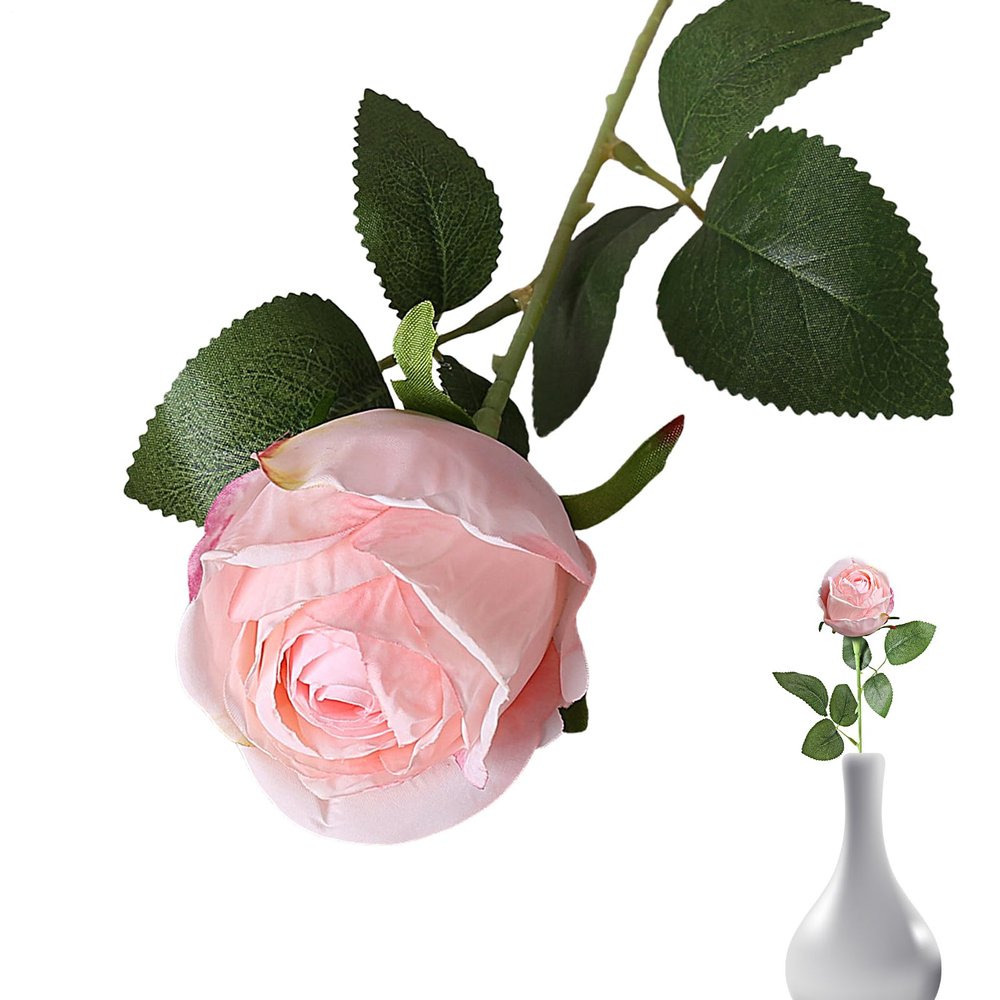 Realistic Simulation Roses with Burnt Edges