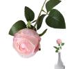 Realistic Simulation Roses with Burnt Edges view 1