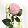 Realistic Simulation Roses with Burnt Edges view 3
