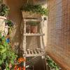 Bamboo Rollers for Indoor and Outdoor view 3