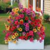 Generisk Artificial Violet Flowers, UV-Resistant Outdoor Bouquets with Stakes, 22.05 x 15.75 x 22.05 in view 4