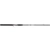 DONGLING Casting Fishing Rod view 2