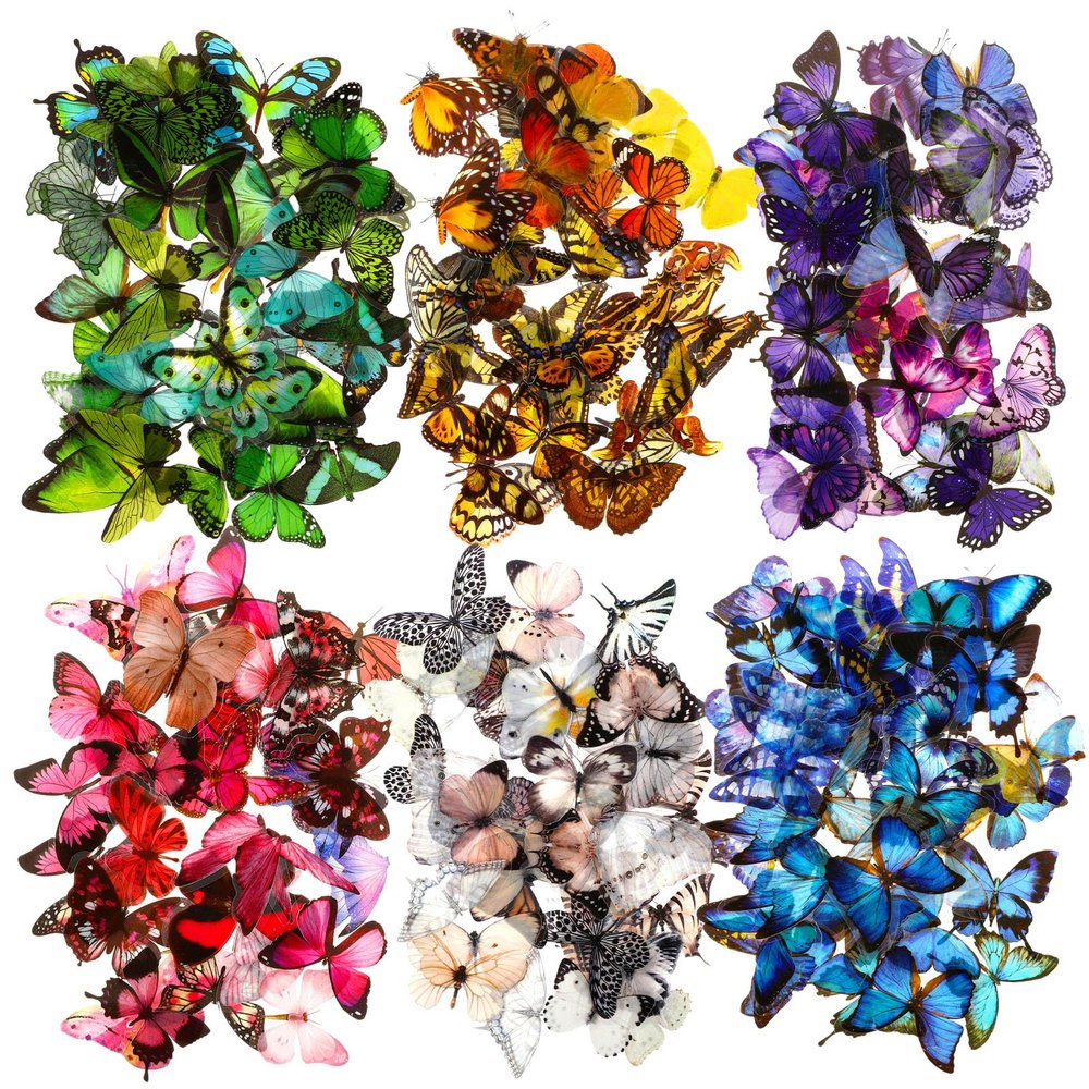 Ptwola 240 Butterfly Scrapbooking Stickers
