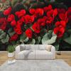 PaxGloz Cyclamen Photo Wallpaper, Red Flowers, Non-Woven Wall Mural, 150 x 105 cm (W x H) view 1