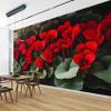 PaxGloz Cyclamen Photo Wallpaper, Red Flowers, Non-Woven Wall Mural, 150 x 105 cm (W x H) view 3