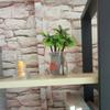 Miniature Coconut Palm Tree Model view 2