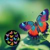 Butterfly Magnet with Bottle Opener view 3