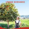 Extendable Fruit Picker with Comfortable Grip view 3