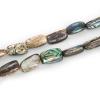 Abalone Shell Loose Beads Peacock Blue 39cm view 3
