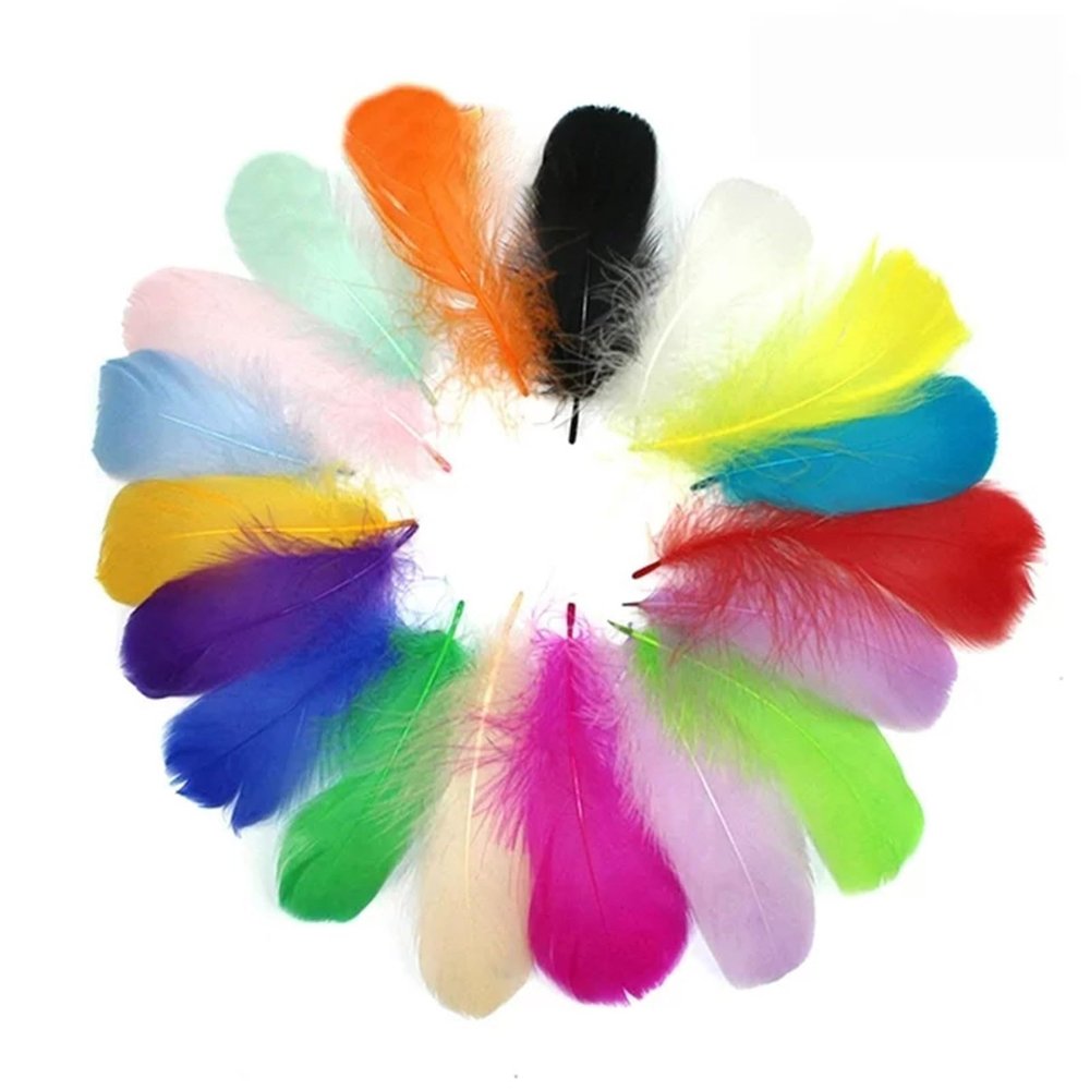 100 Colorful Feathers for DIY Crafts