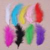 100 Colorful Feathers for DIY Crafts view 3