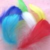 100 Colorful Feathers for DIY Crafts view 4