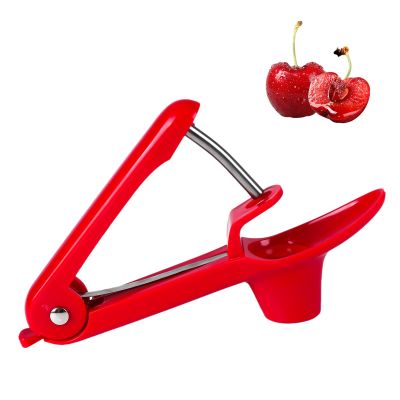 Stainless Steel Cherry Pitter