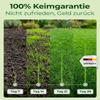 Fast-Germinating Grass Seed Spring & Summer 0.5kg view 3
