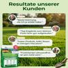 Fast-Germinating Grass Seed Spring & Summer 0.5kg view 4