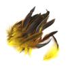 Wholesale 50 pcs 4-7 inch Chicken Feathers for Home, Yellow view 4