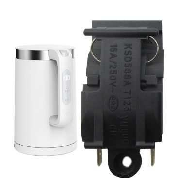 Electric Kettle - Temperature Control