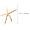 QUXVUIS Finger Starfish Decoration view 4