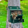 Squirrel Feeder with Corn Cob Holder view 3