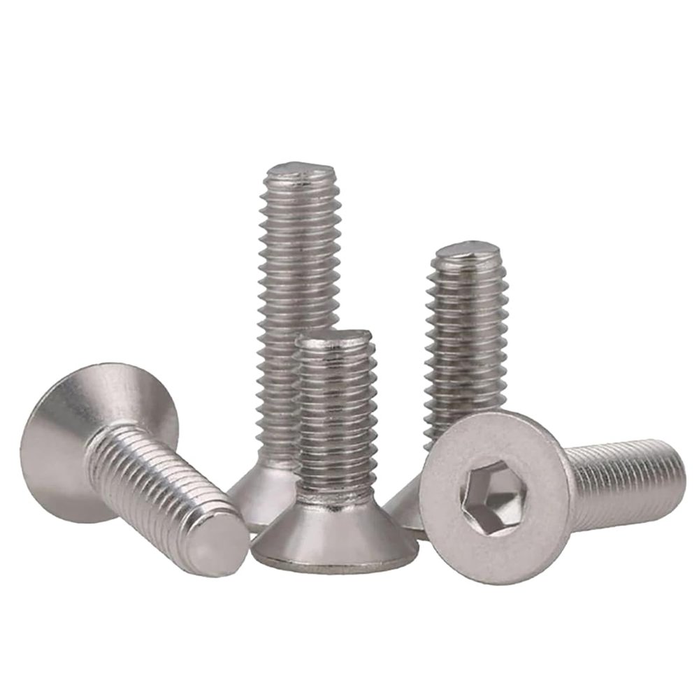 Flat-Head Hex Socket Screws, 304 Stainless Steel, Multiple Sizes, 200+ Pieces (M10 x 55 mm, 2 pcs)