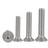 Flat-Head Hex Socket Screws, 304 Stainless Steel, Multiple Sizes, 200+ Pieces (M10 x 55 mm, 2 pcs) view 4
