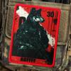 Velcro Patches, Cute Wolfhound Soldier Tactical Military Badge view 4