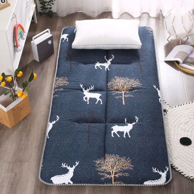 Japanese Futon Mattress, Foldable Portable Floor Mattress, 120 x 200 cm