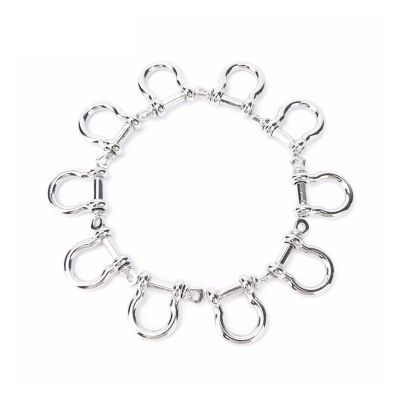 D-Shaped Stainless Steel Bow Shackles, 10-Piece Set