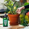 Indoor and Outdoor Plant Fertilizer, 150 ml Root-Enhancing Concentrate view 2
