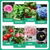 Indoor and Outdoor Plant Fertilizer, 150 ml Root-Enhancing Concentrate view 3