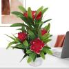 Artificial Flowers in Pots view 1