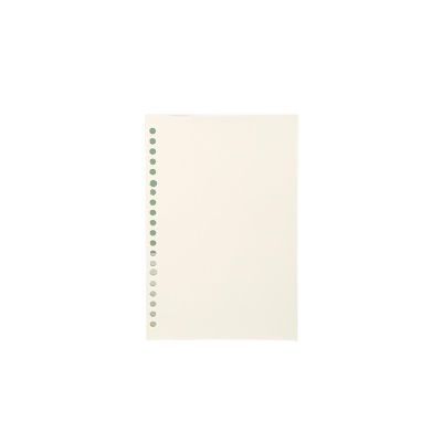 ZYAGH A5/B5 20-Hole Spiral Notebook Refill, Blank