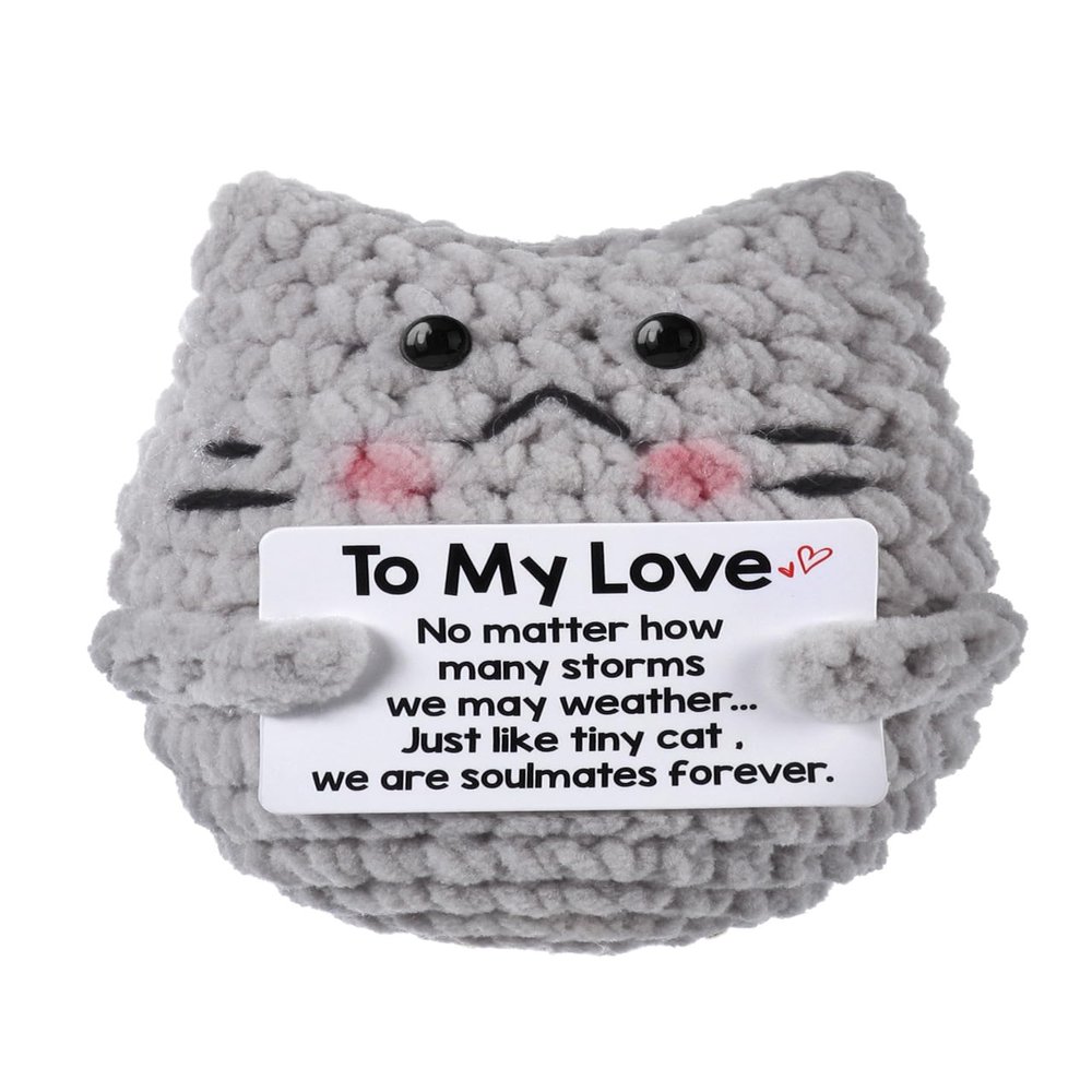 Positive Grey Kitten