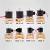 Electric Solenoid Valve, Normally Closed, 1/4–1 in, DN8–DN50, Pneumatic, for Water, l, Air, 12/24/110/220 V view 2
