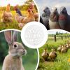 Spherical Chicken Coop with Pet-Safe Design view 3