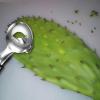 Nopales Peeler - Manual Cactus Tool in Stainless Steel view 2