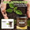 Soil Activator for Soil Structure Improvement view 2