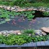 HIFRQVVC Garden Fish Pond Underlay, Preformed Black HDPE Pond Liner, Multiple Sizes (6 x 15 m / 19.7 x 49 ft) view 4