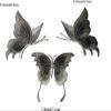 CYMMIYT Embroidered Patches, 6-Piece Handmade Mesh Butterfly Patches for Sewing onto DIY Clothing, Hats, Backpacks, Leggings, Hair Clips and Decorative Accessories (Champagne) view 3