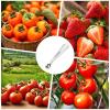 Stainless Steel Strawberry Corer and Fruit Huller view 4