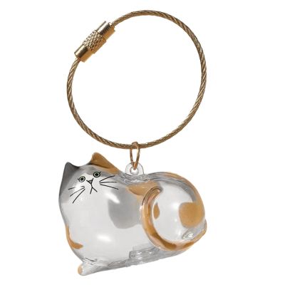 Cat Hair Container - Clear Keepsake Box