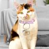 Cat Hair Container - Clear Keepsake Box view 4