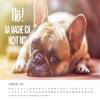 Edition Seidel Premium Cool Dogs 2026 Wall Calendar, DIN A4 view 2