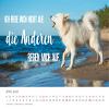 Edition Seidel Premium Cool Dogs 2026 Wall Calendar, DIN A4 view 3