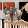 Generic Elephant Figurine Modern Sculpture Ornament view 4