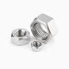 M48 Hex Nut, 48 mm, 304 Stainless Steel, 1 Pc. view 1