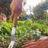 Garden Weeder Tool, Sturdy Stainless Steel Hoe view 3