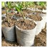 UZAMIRLEX Nonwoven Seedling Bags, 100 Pcs, Large Capacity, Biodegradable Plant Grow Bags (9 cm x 13 cm) view 2