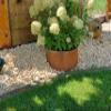 Tree Ring Raised Bed, Weathered Rust Finish (120 cm) view 2