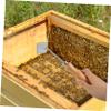 VINTORKY Professional Stainless Steel and Wood Hive Tool for Lifting and Cleaning Beehive Frames view 4